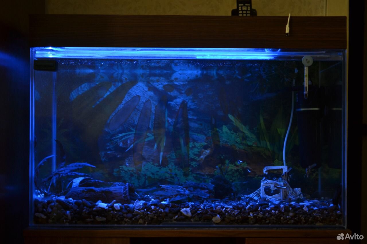 Подсветка для аквариума купить на Зозу.ру - фотография № 4
