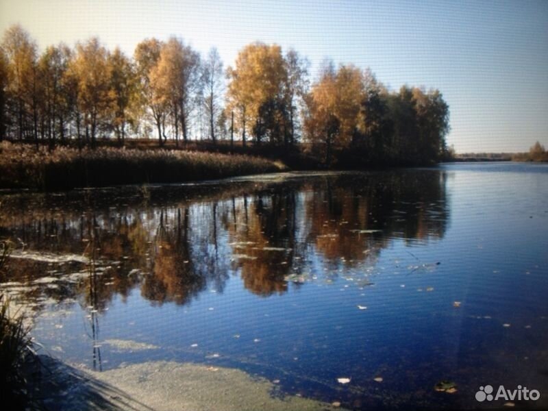 Купить Участок Юрково Сокольский Район Нижегородская Область