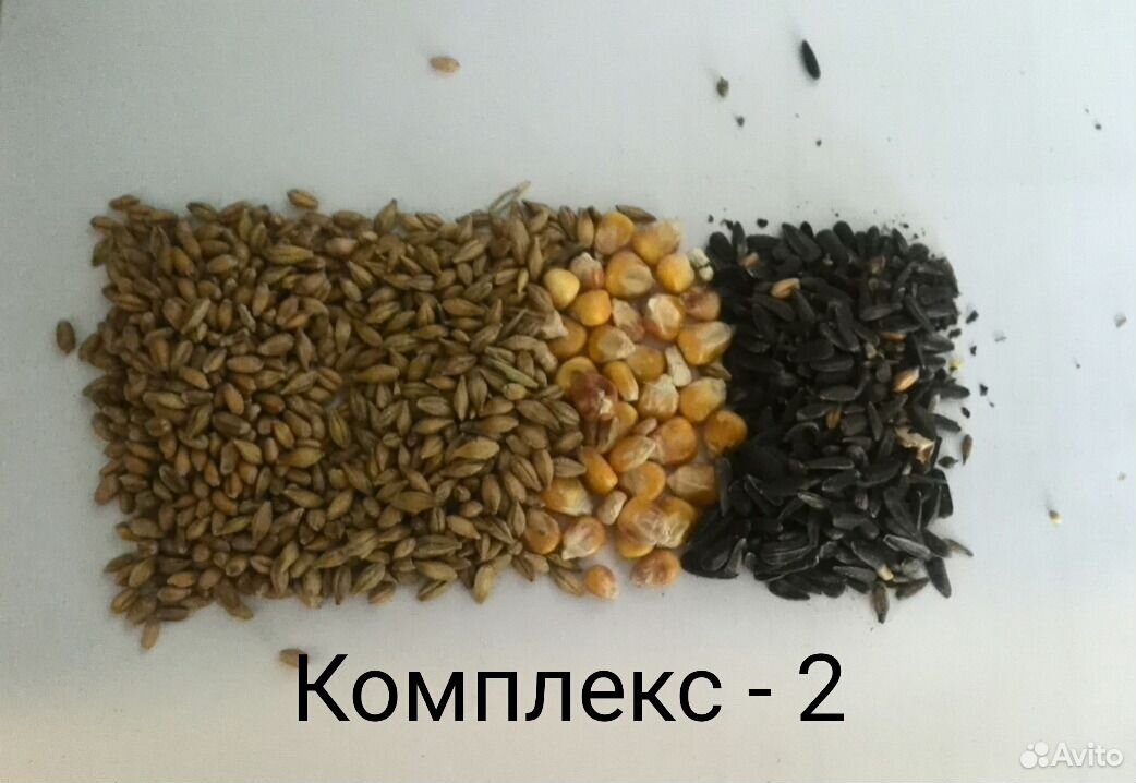 Зерно-смеси купить на Зозу.ру - фотография № 2