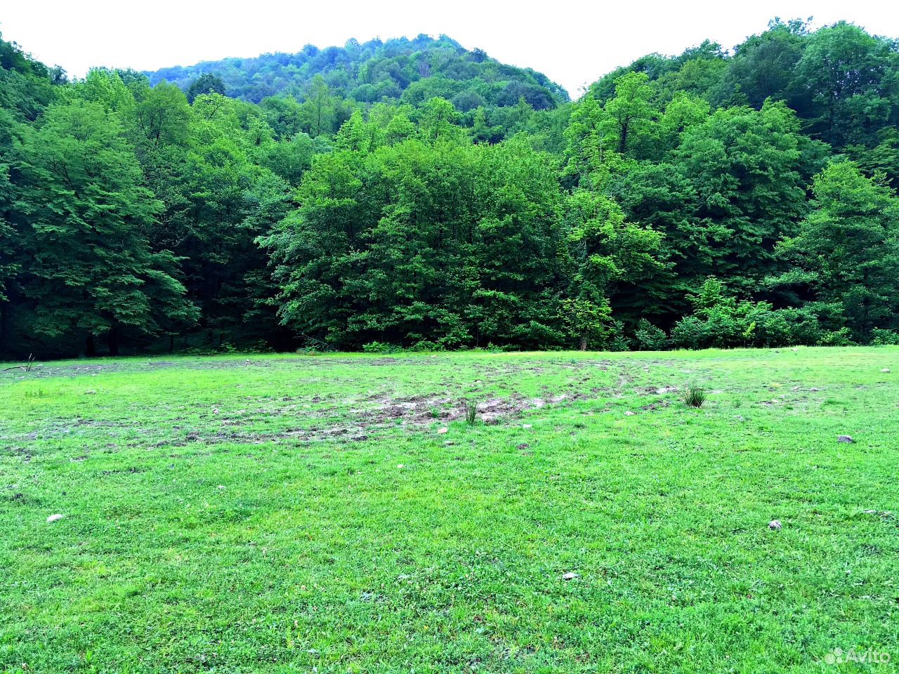 Купить Участок В Сочи Пластунка