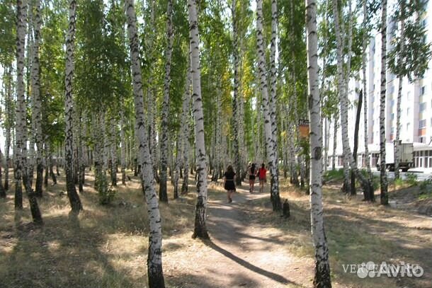 Купить Дом В Боровом Воронеж Железнодорожный