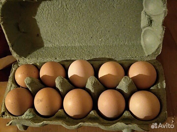 Яйца от минимясных кур купить на Зозу.ру - фотография № 2