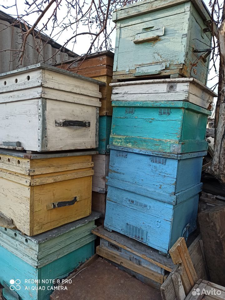 Продам 10 ульев для пчел купить на Зозу.ру - фотография № 1