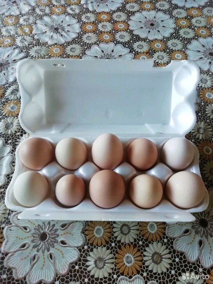 Продам яйца, от домашних курочек купить на Зозу.ру - фотография № 1
