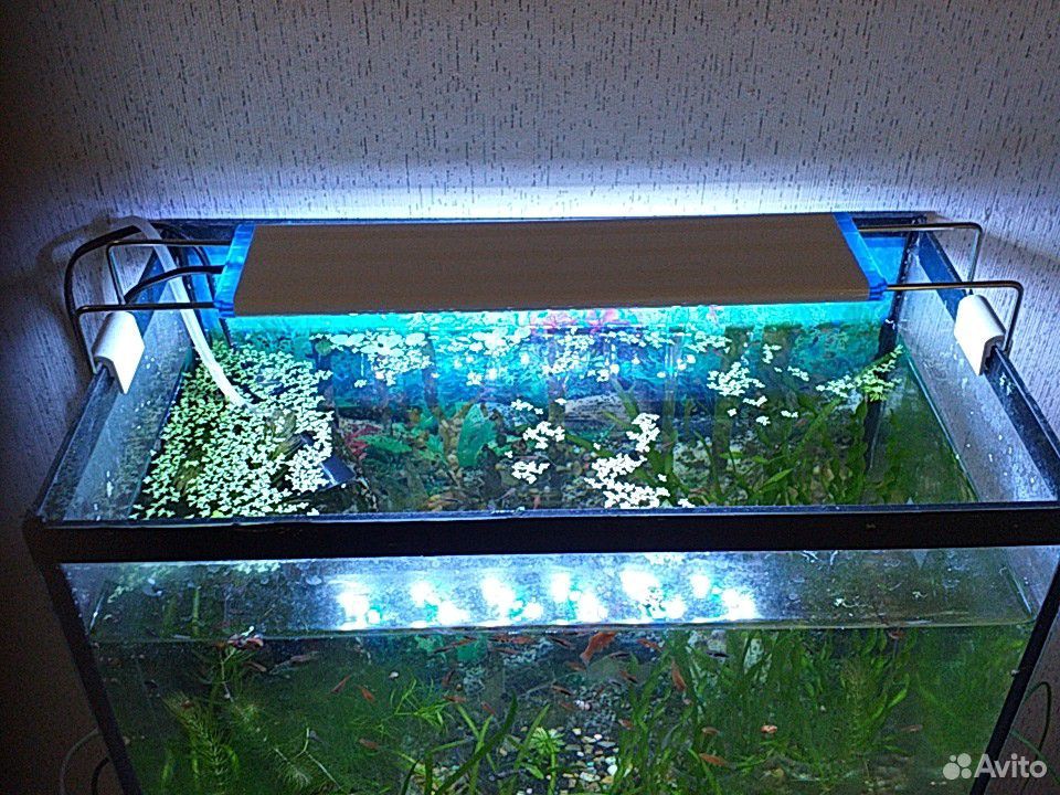Светильник для аквариума купить на Зозу.ру - фотография № 1