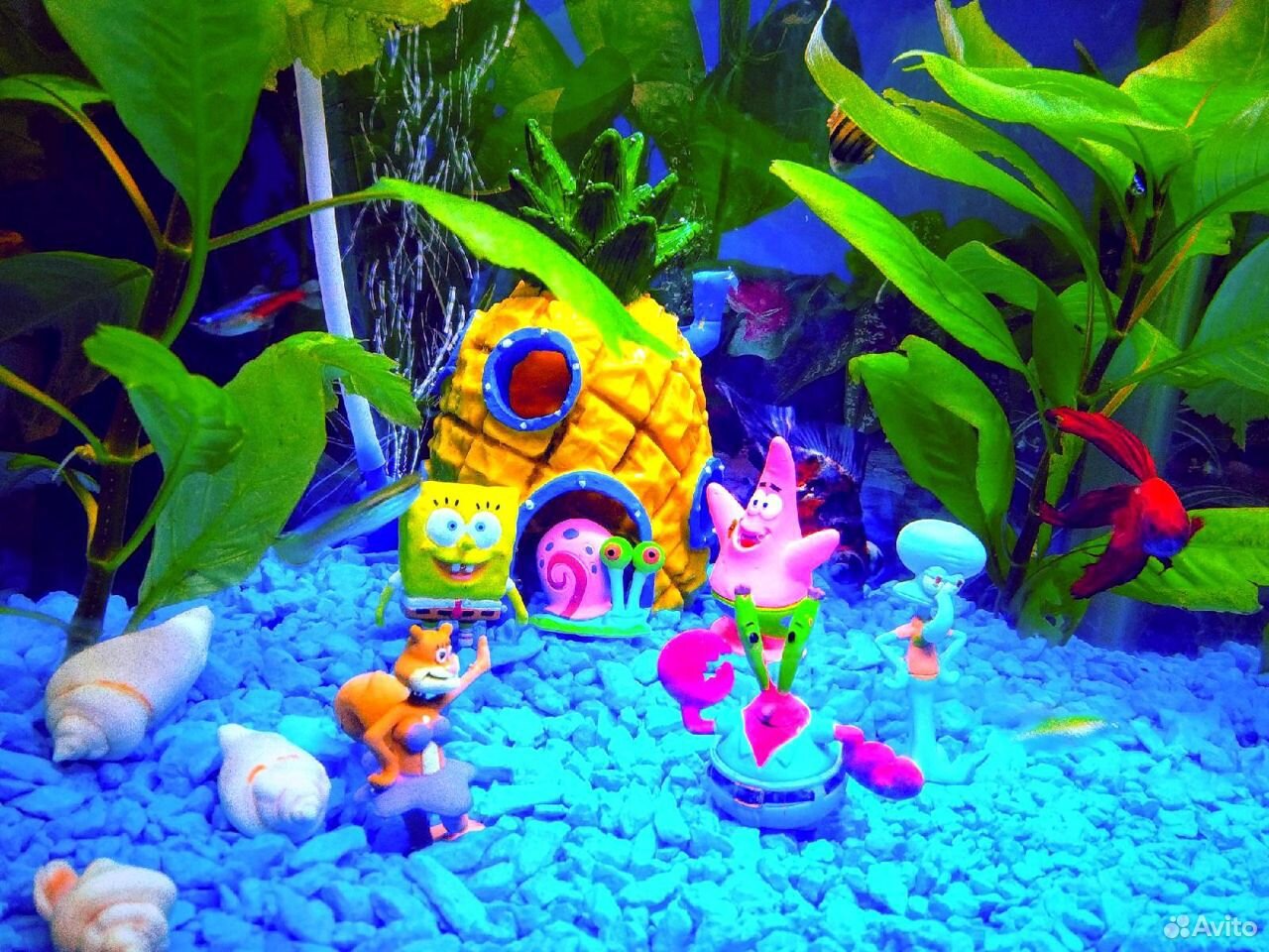 Декор"на дне океана, губка боб"и рыбы для аквариум купить на Зозу.ру - фотография № 1