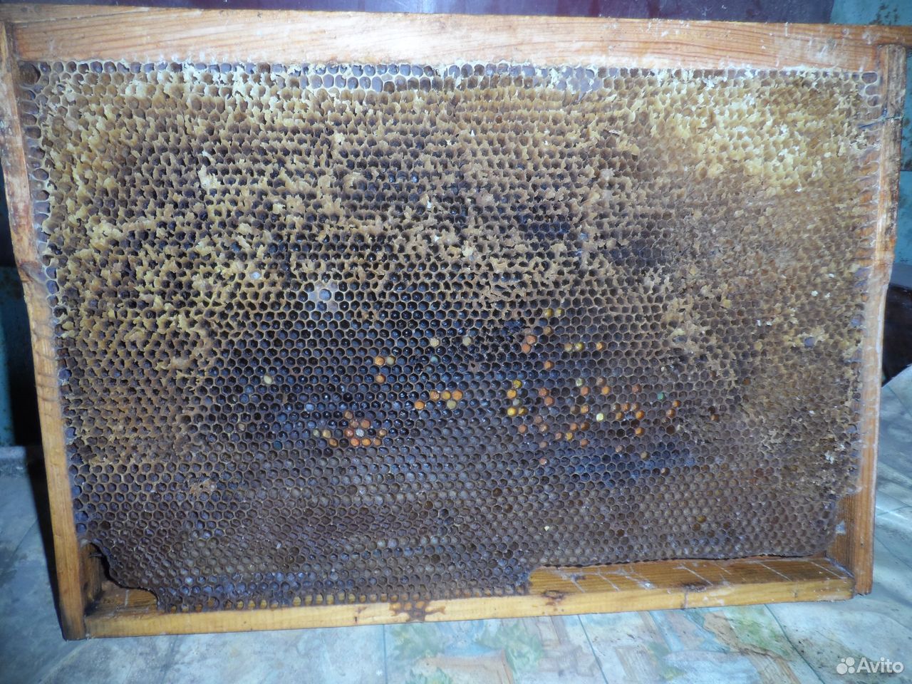 Рамки для пчёл купить на Зозу.ру - фотография № 2