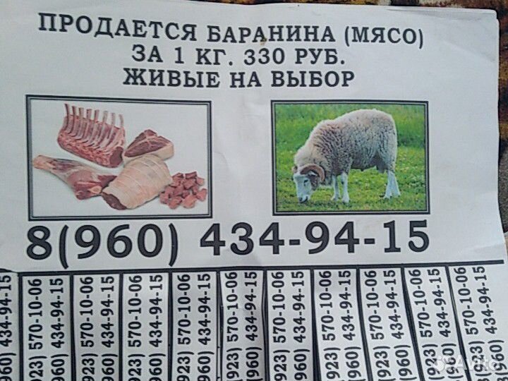 Продаются бараны и мясо баранина купить на Зозу.ру - фотография № 4