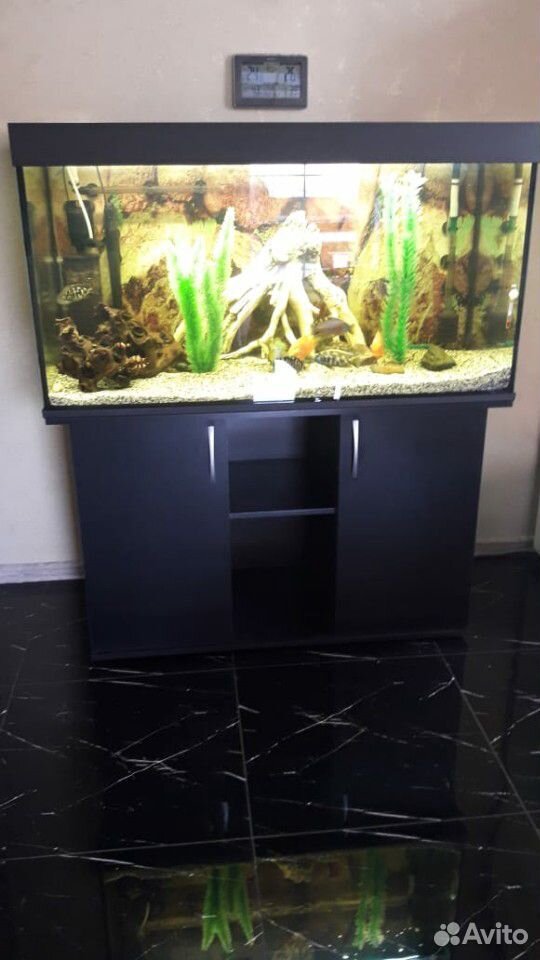 Продается аквариум 350 литров купить на Зозу.ру - фотография № 4
