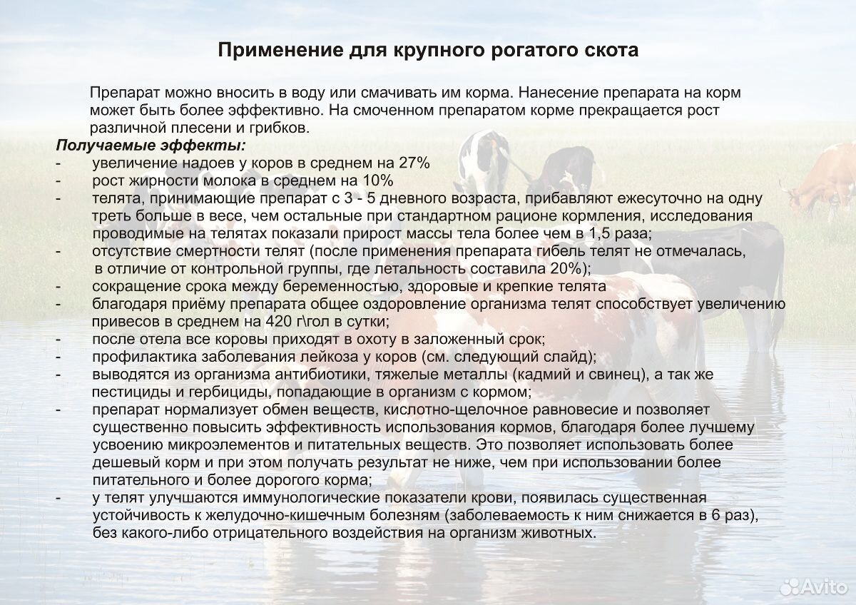 Кормовая добавка Неогумин купить на Зозу.ру - фотография № 3