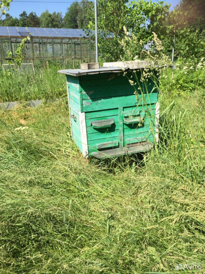 Улей полный набор для пчеловода купить на Зозу.ру - фотография № 1