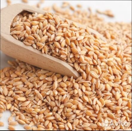 Пшеница 30 кг купить на Зозу.ру - фотография № 3