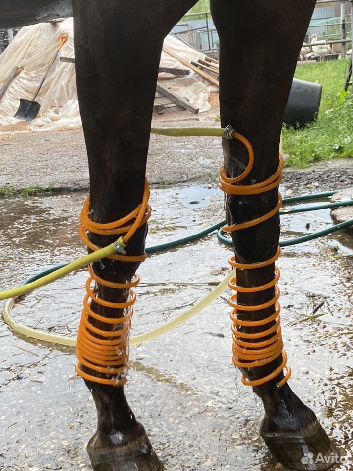 Система для охлаждения ног лошади купить на Зозу.ру - фотография № 2