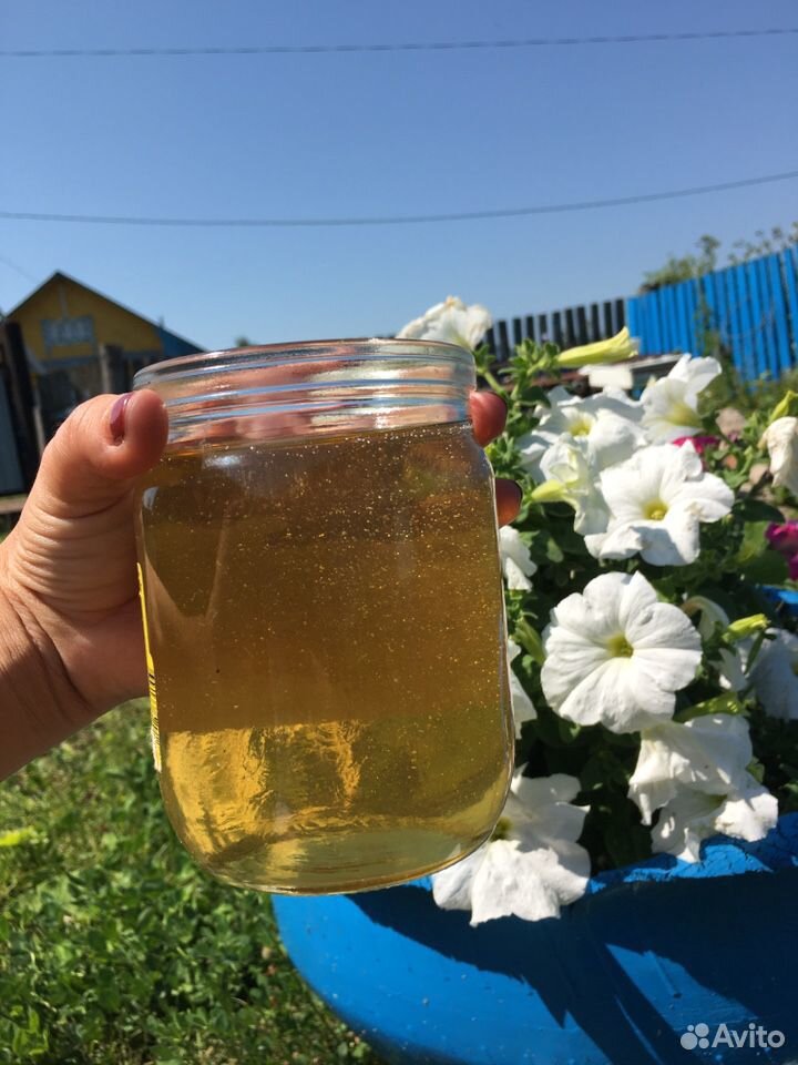 Свежий мёд купить на Зозу.ру - фотография № 2
