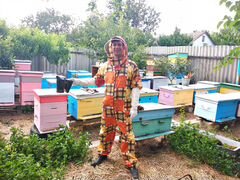 Продам 6 пчелосемей