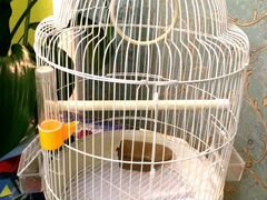 Клетка для попугаев и канареек