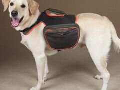 Рюкзак для собак Guardian Gear