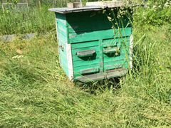 Улей полный набор для пчеловода