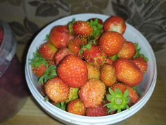 Свежие ягоды