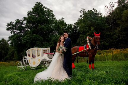 Карета на свад, ландо, конные прогулки, фотосессии