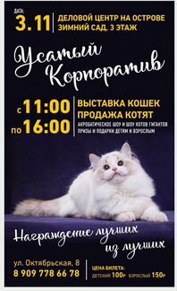 Выставка кошек 3 ноября