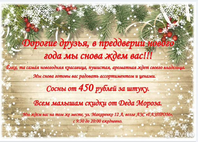 Авито Сосна Новогодняя Купить