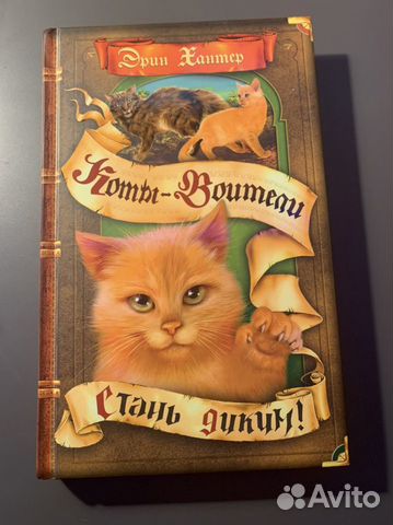 Коты воители, хроники стаи, полиана, колодец желан