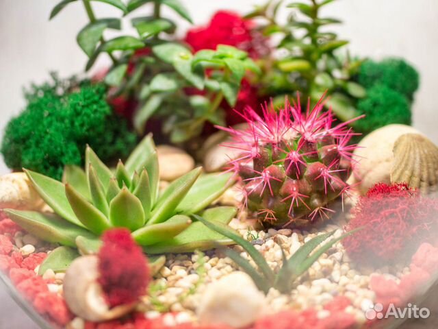 Флорариум в стеклянном шаре