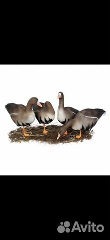 Чучела гусей north way