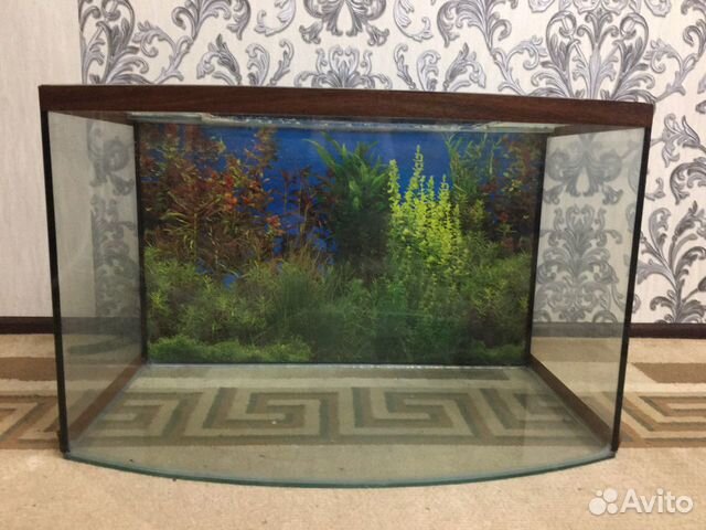 Аквариум