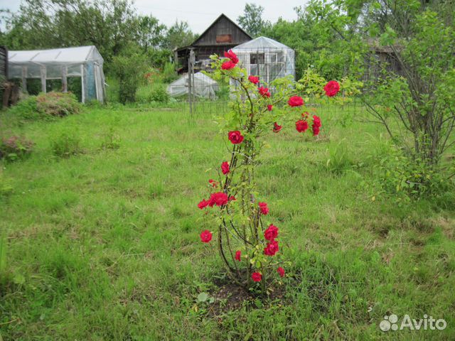 Дача 20 м² на участке 5 сот.