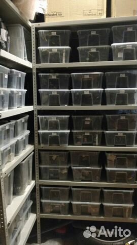 Серво Привод Ducati 2012+