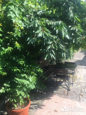 

2-к. дом, 60 м²