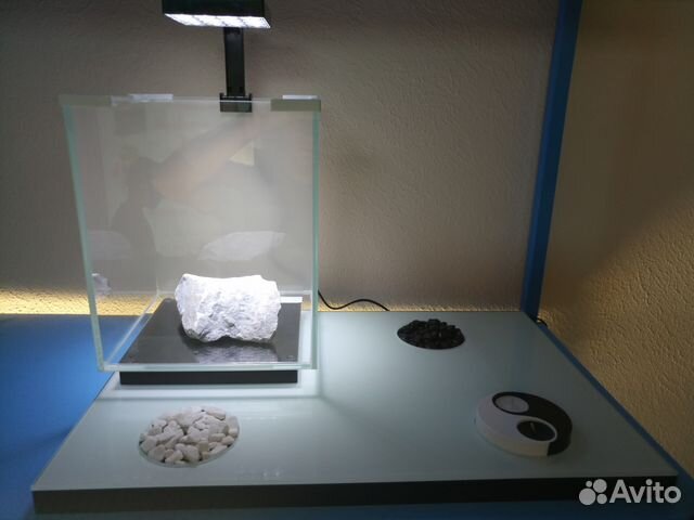 Аквариум Аквариум