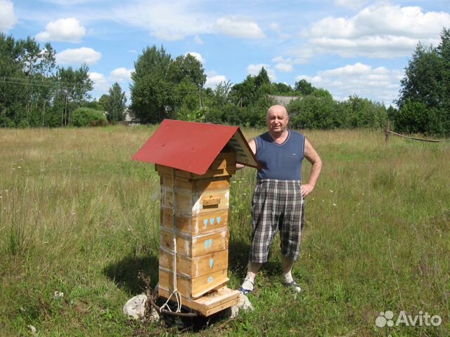Пчелосемьи с ульями -на 24 рамки -на 12 рамок купить на Зозу.ру - фотография № 3