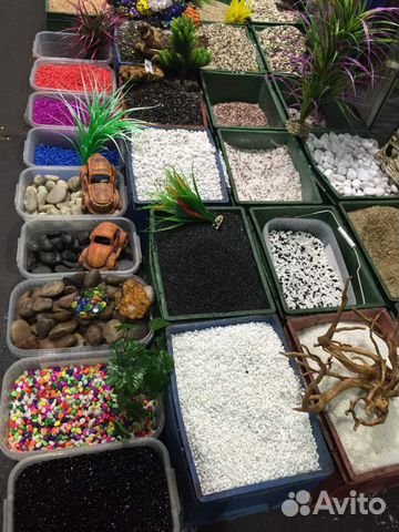 Аквариум Аквариум