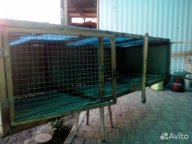 Клетки для кроликов обмен купить на Зозу.ру - фотография № 3