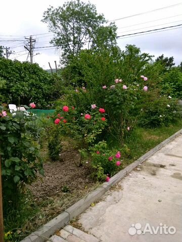Комната 16 м² в 9-к, 1/2 эт. Комната 16 м² в 9-к, 1/2 эт.