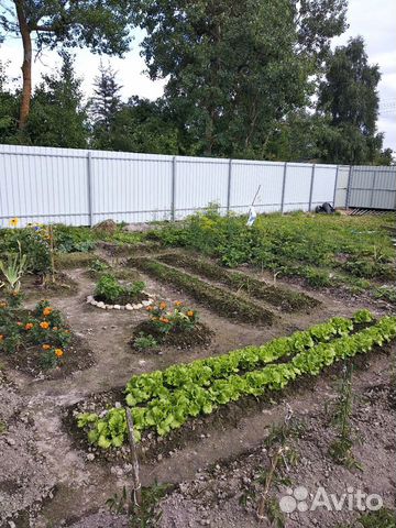 Дача 20 м² на участке 7.5 сот.