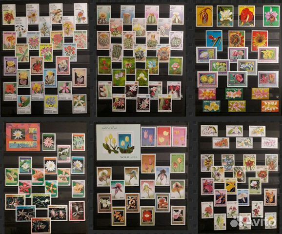 Марки флора цветы 60-90х чистые (6 сканов ) Марки флора цветы 60-90х чистые (6 сканов )