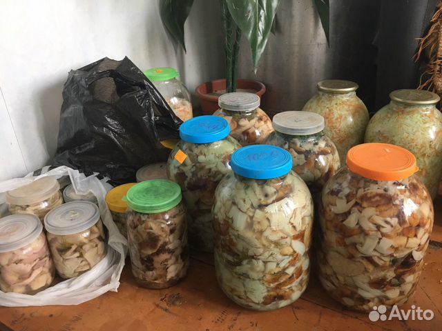 Продаём грибы
