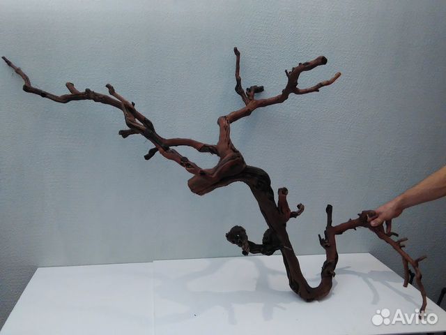 Коряги для аквариума, террариума Коряги для аквариума, террариума