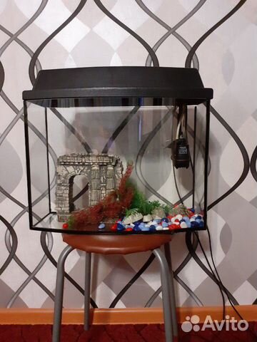 Аквариум для рыб