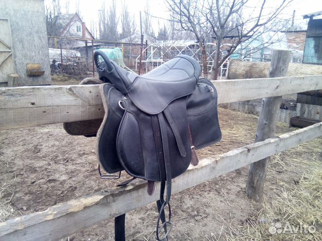 Продам лошадей купить на Зозу.ру - фотография № 10