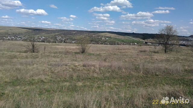 белая калитва. авиловы горы ростовская область. белая калитва природа. северский донец белая калитва. растительный мир реки белая калитва.