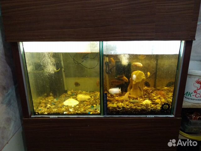 Стелаж с аквариумами купить на Зозу.ру - фотография № 2