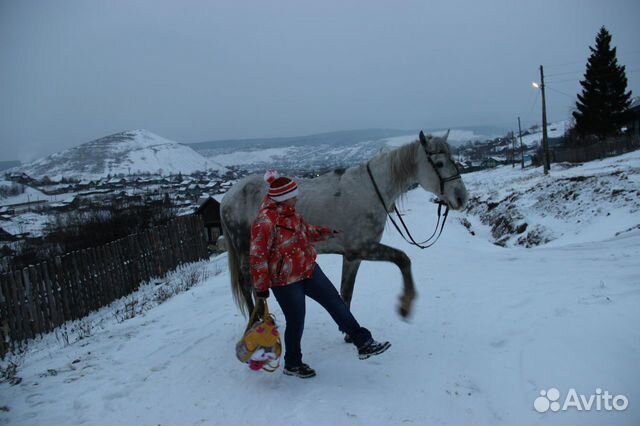 Лошади купить на Зозу.ру - фотография № 7