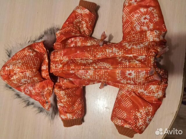 Одежда для собак