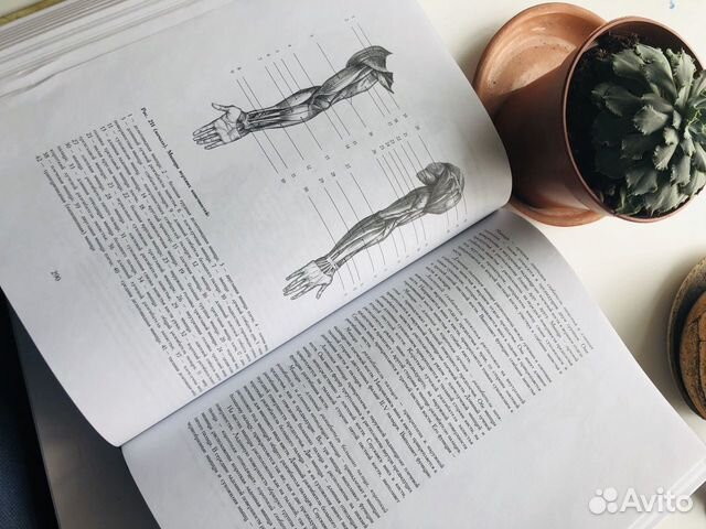 Книга «Основы учебного академического рисунка» Книга «Основы учебного академического рисунка»