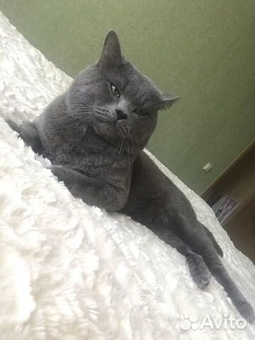 Вязка Вязка